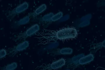 细菌富集技术